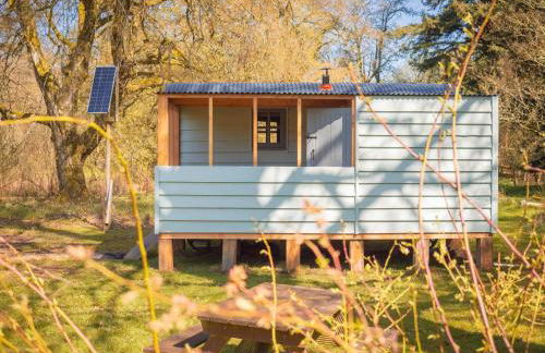 Bamff Ecotourism - Photo 116