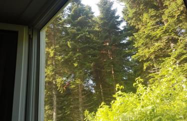 Mon chalet en Ariège avec piscine - Foto 17