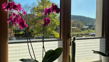 Ferienhaus Ginkgo Biloba - Foto 3