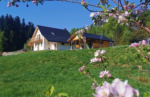 Domek Za Skałą - Foto 32