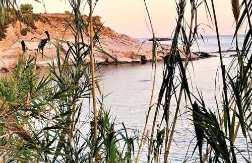 Apartments With Garden View, Creta, Ierapetra - Foto 49