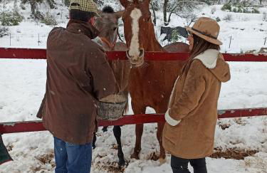 Casas Rurales Majana 1 - Foto 45