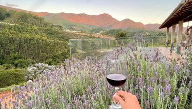 Refúgio do ipê - Foto 4