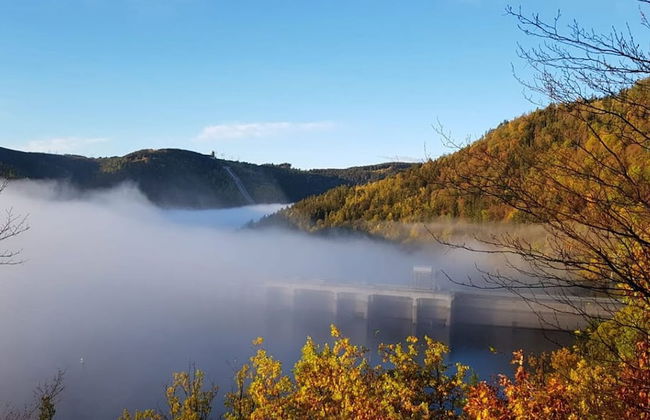 Bungalows Saalestrand - Foto 14