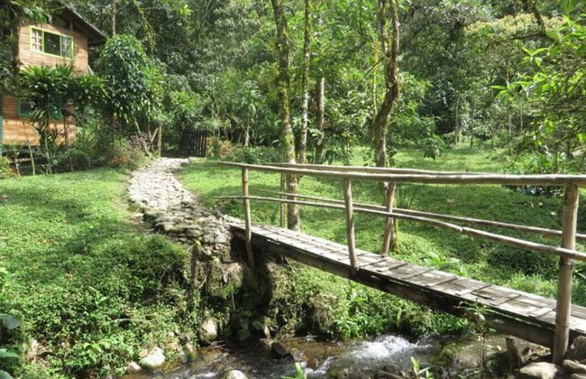 Mindo Eco chalet - Foto 36