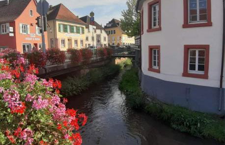 Ferienwohnung am Kirchberg Europa-Park Spassbad-Rulantica-Schwarzwald ,Frankreich, - Foto 24
