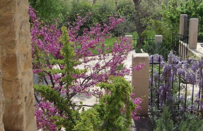 Appealing Apartment in Sankt Aldegund - Photo 15