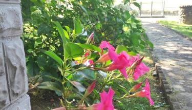 Villetta con giardino - Foto 4