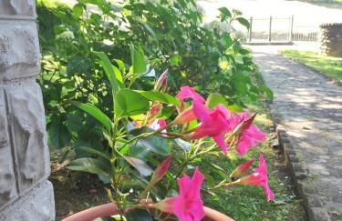 Villetta con giardino - Foto 4