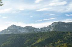 Ferienwohnung Kurtz - Foto 20