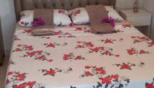 Flor de cacto - Foto 2