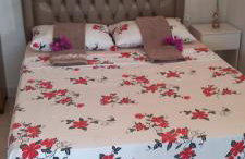 Flor de cacto - Foto 2