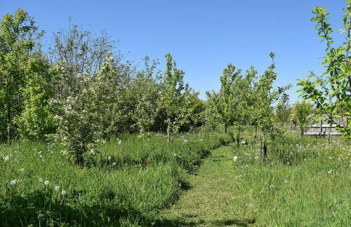 The Lodge At Elmley Meadow - Foto 16
