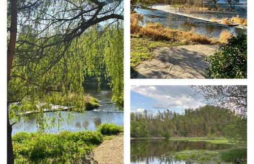 Ferienwohnung Haus Iris - Foto 25