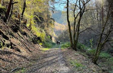 Charmante Ferienwohnung in Mastershausen/Hunsrück - Foto 23