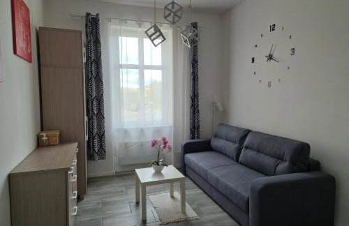 Apartament w Centrum - Foto 6