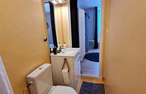 Bel appartement « Les Monts du Cantal » - Photo 21