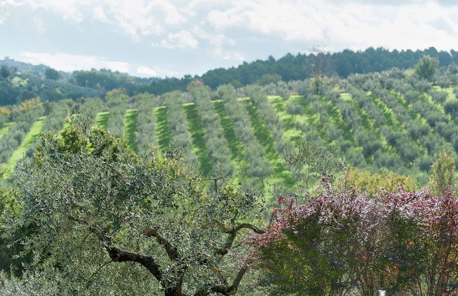 Farmhouse in Giano Dell'umbria with Hot Tub, Swimming Pool - Foto 25
