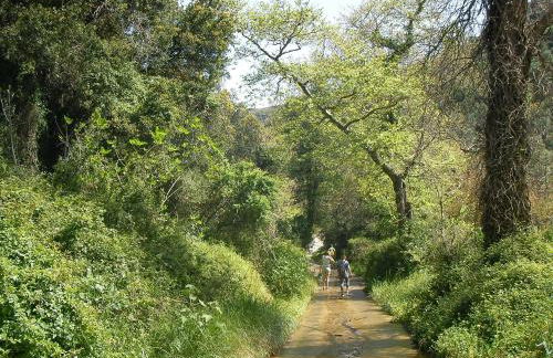 Elia Studios - Photo 56