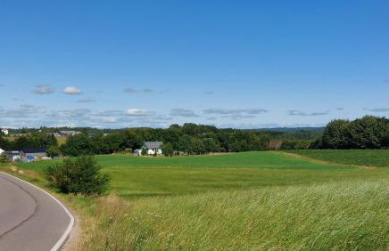 Zielony Domek - Foto 4