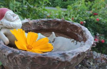 Ferienwohnung Belchenblick - Foto 18