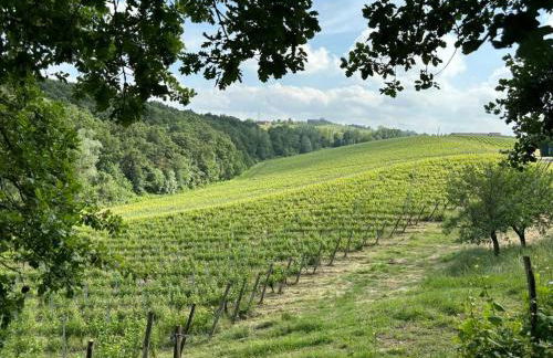 Villa Monticello - Photo 42