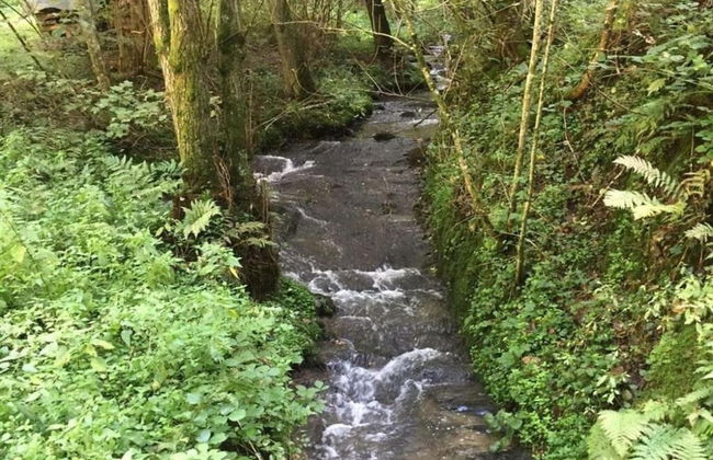 Holiday Home Moselle With Private Sauna - Photo 35