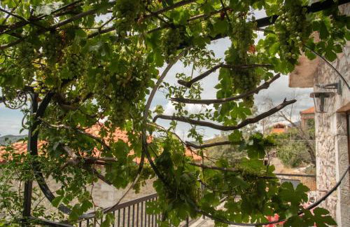 Panorama of Deep Blue - Foto 20