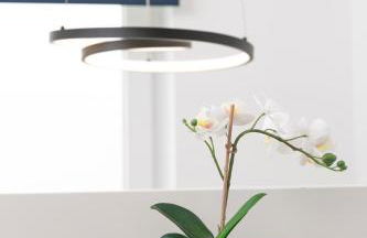 CABANA - Maisonette Apartments - Parkplatz - WiFi kostenlos - Nähe Klinikum - Photo 16