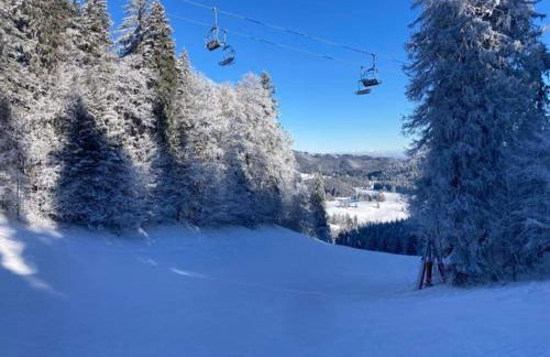 Le Flocon, Joli Cocon 4 pers avec Cheminée, LES ROUSSES, Draps inclus & Parking gratuit - Foto 28