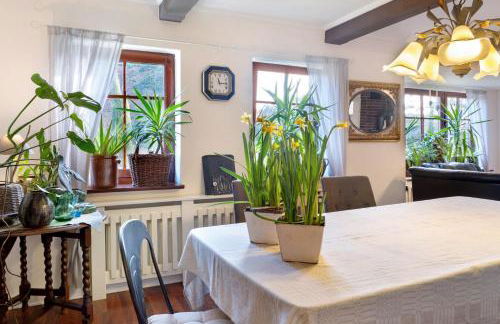 Elbparadies - Foto 6