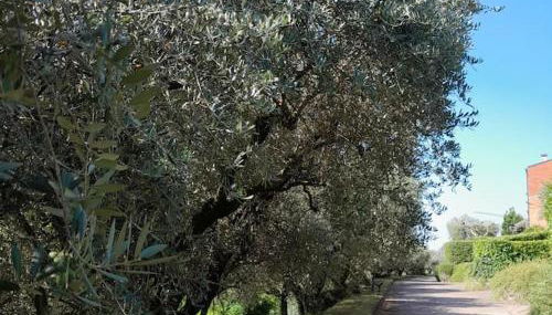 Casa Magnolia - Foto 4