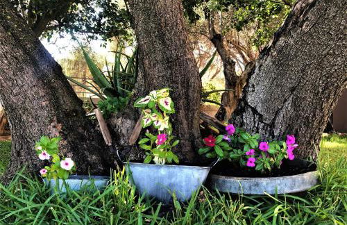 Penelope Dream Pool Villa - Foto 49