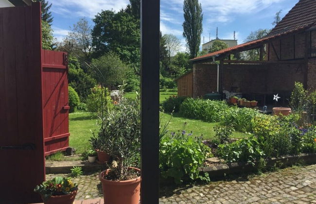 Hansel und Gretel - Foto 28