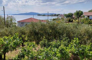 Platanidia Apartment Pelion - Foto 23