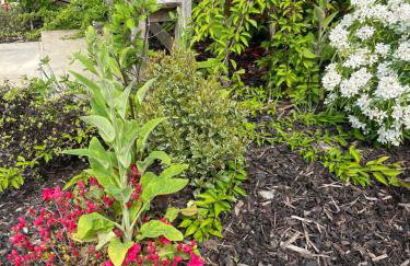 Church Barn - Private barn perfect for 2 guests stunning location - Photo 11