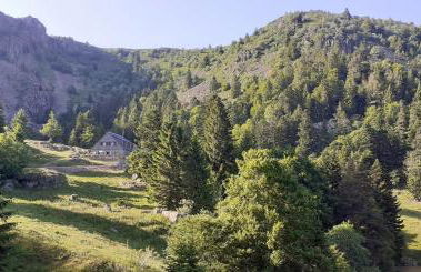 MUNSTER camping de la FECHT - Foto 30