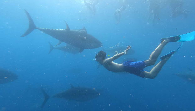 Desfrutando da experiência marinha