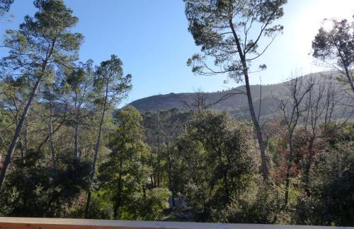 Vigne et cigale - Foto 22