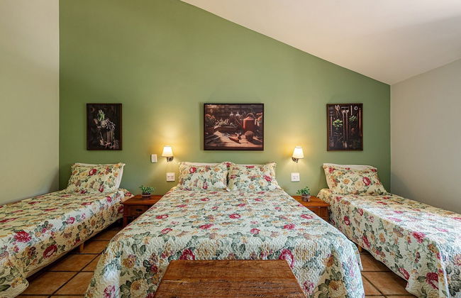 Fazenda Realeza - Foto 9