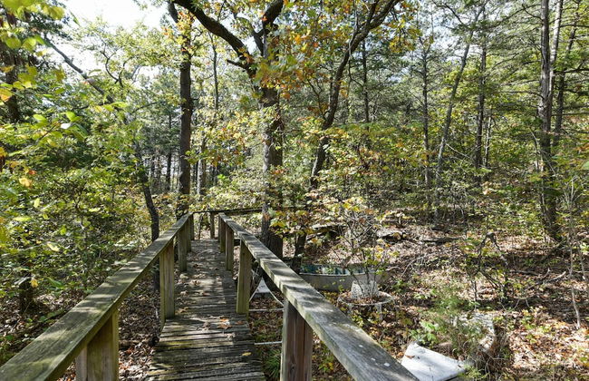 Hoot Owl @ Table Rock Lake - Amazing Lake Views!! - Game Room - Priced TO Rent!! - Photo 41