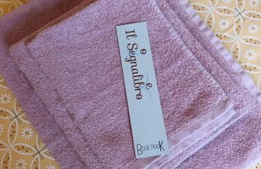 Book Nook Pisa, vicino all'Ospedale di Cisanello e all'Aeroporto, parcheggio privato a disposizione - Foto 20