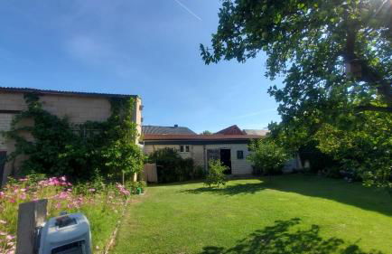 Ferienhaus Krüger - Foto 24