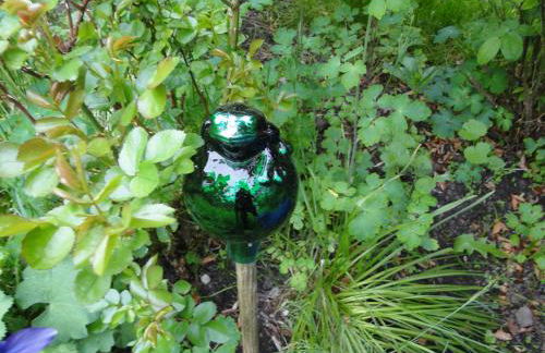 Ferienwohnung zum Breitling in Stove - Foto 12