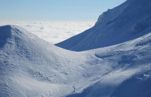 L'Esprit du Bois - Foto 21