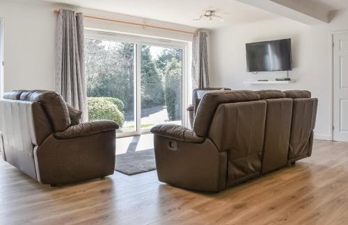 Caddie - Uk11038 - Foto 2