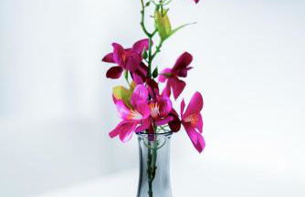 Modernes Apartment für zwei Personen mit Parkplatz - Foto 15