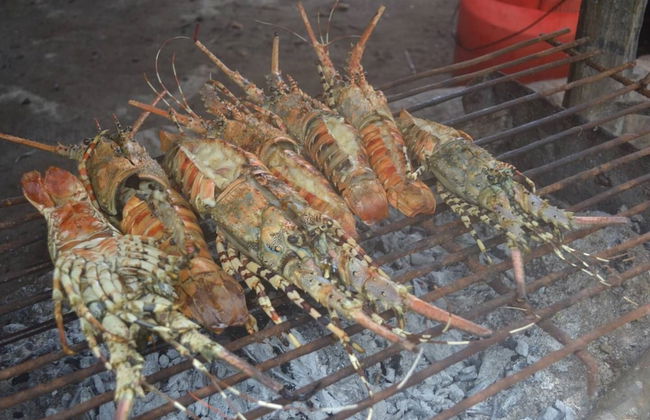 Villa - Right on the Beach, Under the Coconut Trees, Sleeps 10, Pool, Chef - Foto 19