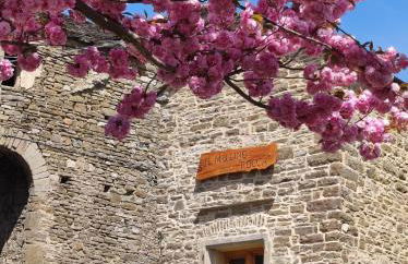 Agriturismo Il Mulino della Rocca - Photo 22