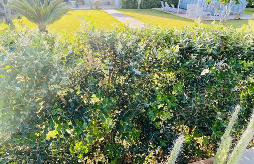 Villa Eagle - Foto 42